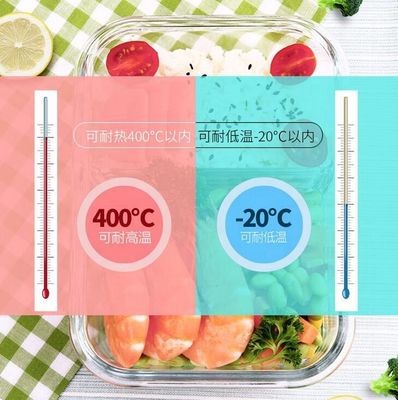 kualitas Borosilicate Pressed Glass Lunch Boxes With Locking Lids pabrik